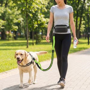 Prestanite da vučete, zadržite kontrolu - hands-free povodac za pse / DOGZIP